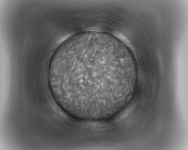 X0000086920529200704301059
