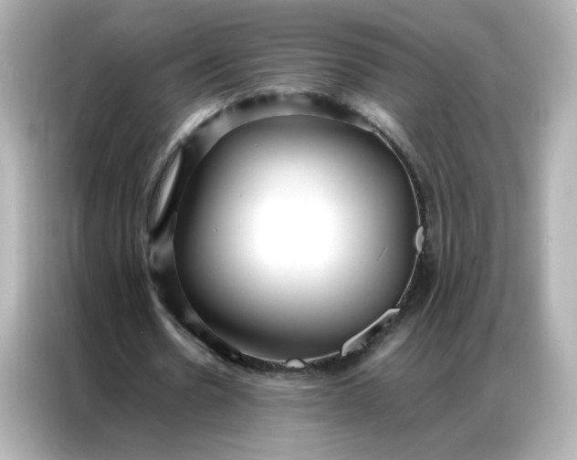 X0000086920530200704301059
