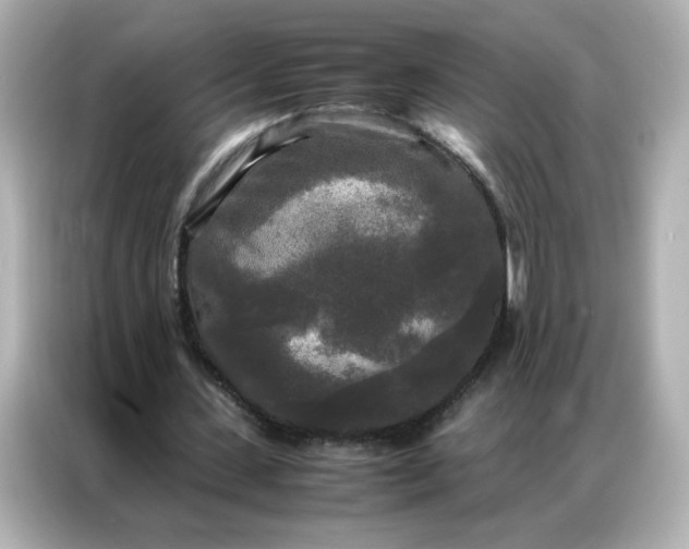 X0000086920531200704301059