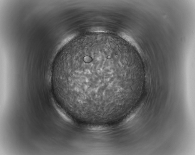 X0000086920533200704301059