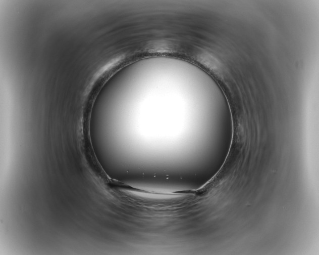 X0000086920535200704301059