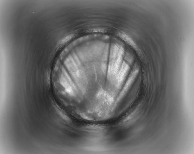 X0000086920537200704301059