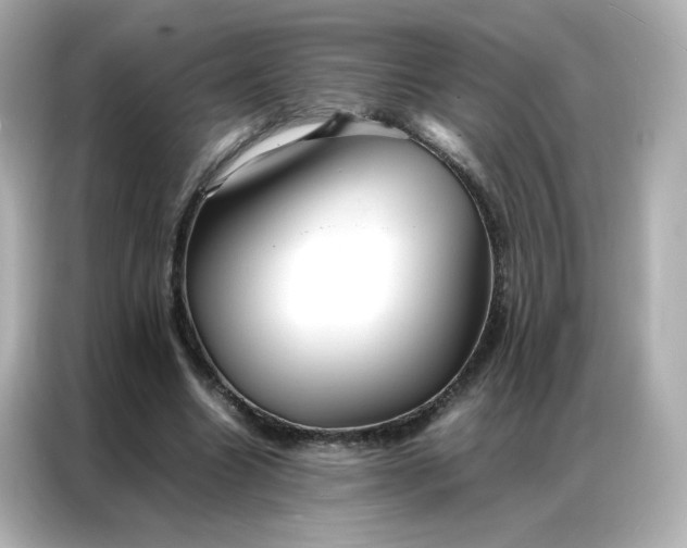 X0000086920538200704301059