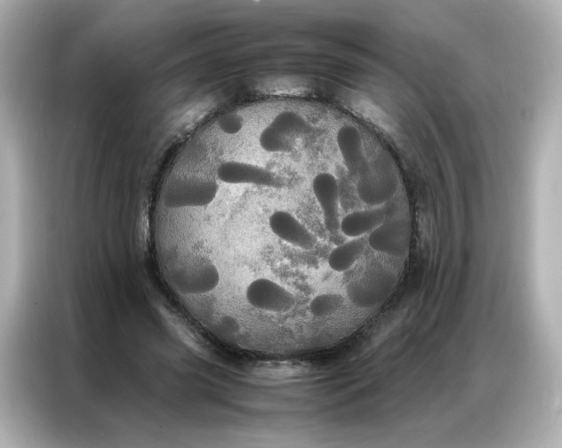X0000086920541200704301059