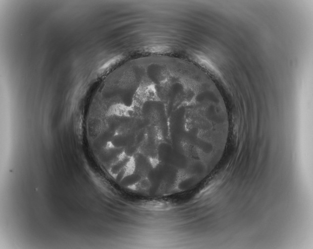 X0000086920542200704301059