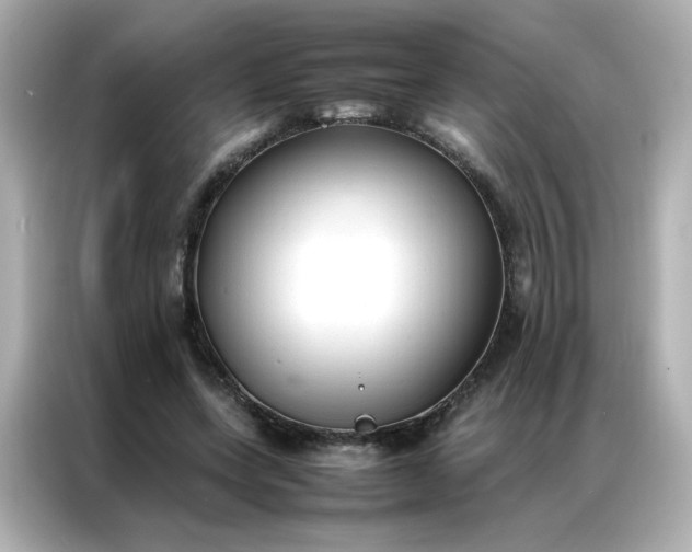 X0000086920543200704301059