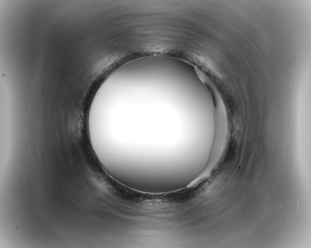 X0000086920544200704301059