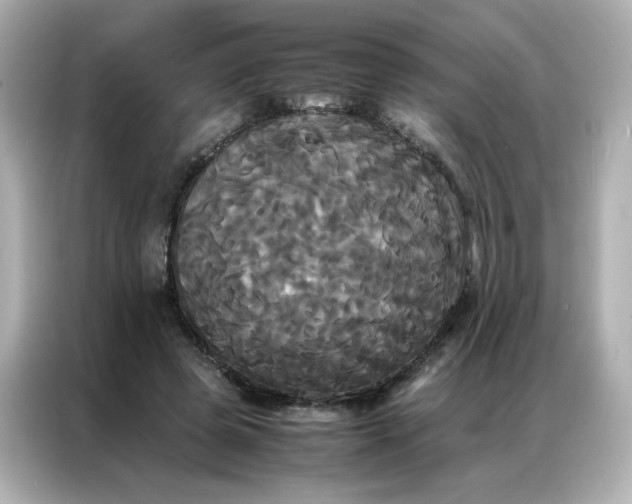 X0000086920545200704301059
