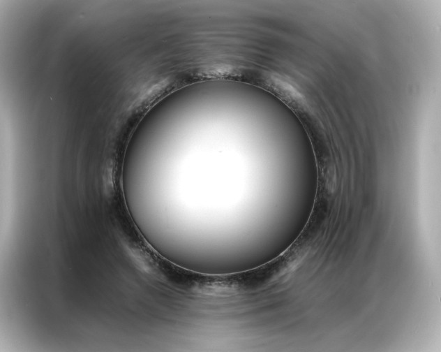 X0000086920546200704301059