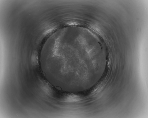 X0000086920547200704301059