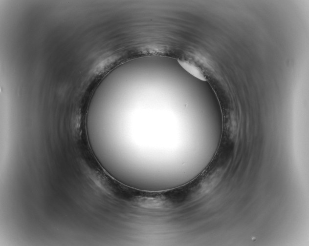 X0000086920548200704301059