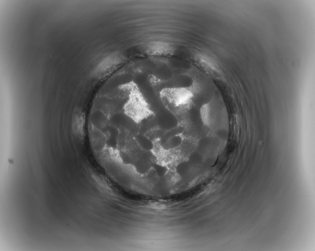 X0000086920550200704301059