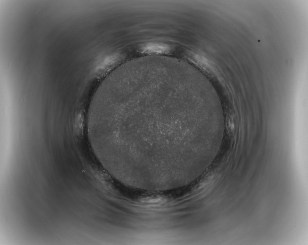 X0000086920551200704301059