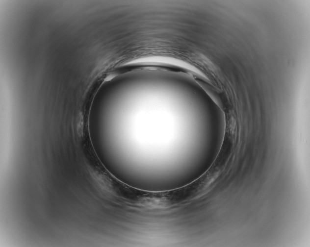 X0000086920552200704301059