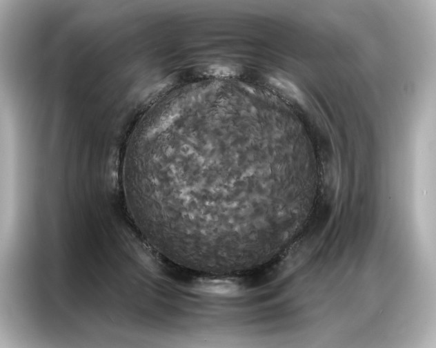 X0000086920553200704301059