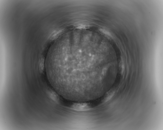 X0000086920554200704301059
