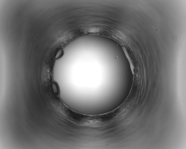 X0000086920555200704301059