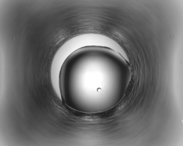 X0000086920556200704301059