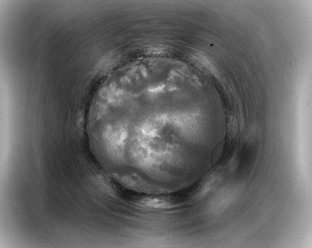 X0000086920557200704301059