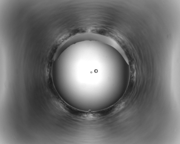 X0000086920558200704301059