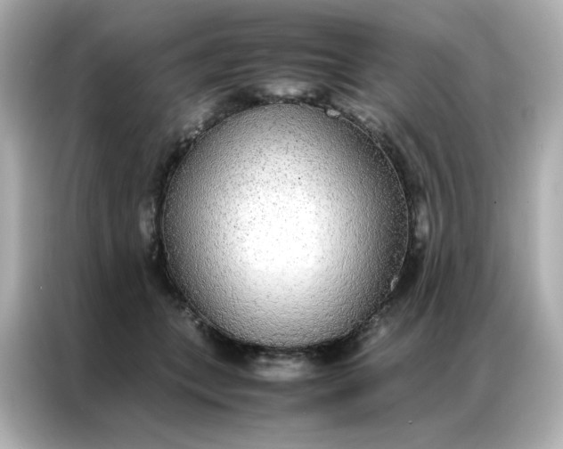 X0000086920559200704301059