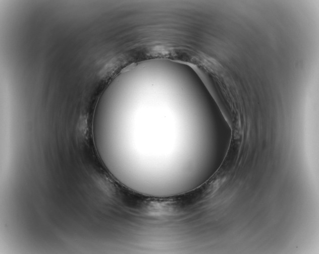 X0000086920560200704301059