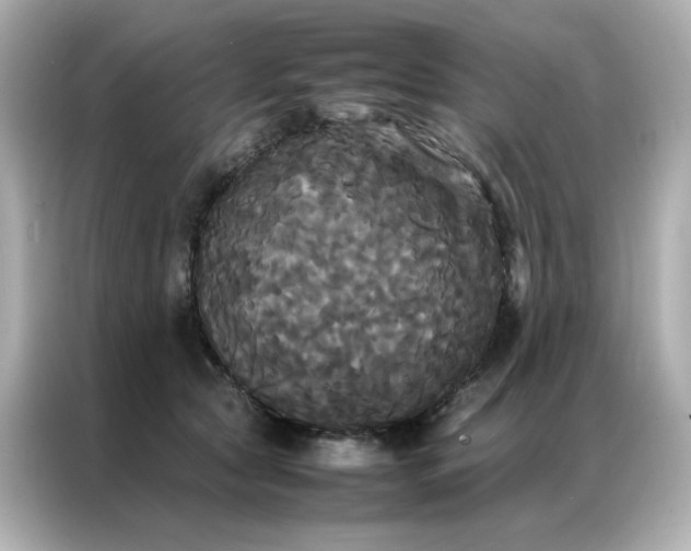 X0000086920561200704301059