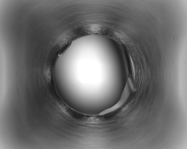 X0000086920562200704301059