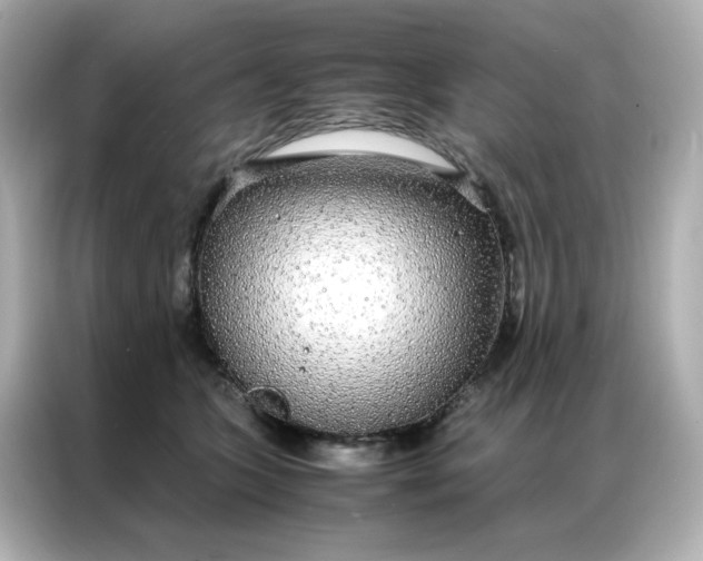 X0000086920563200704301059