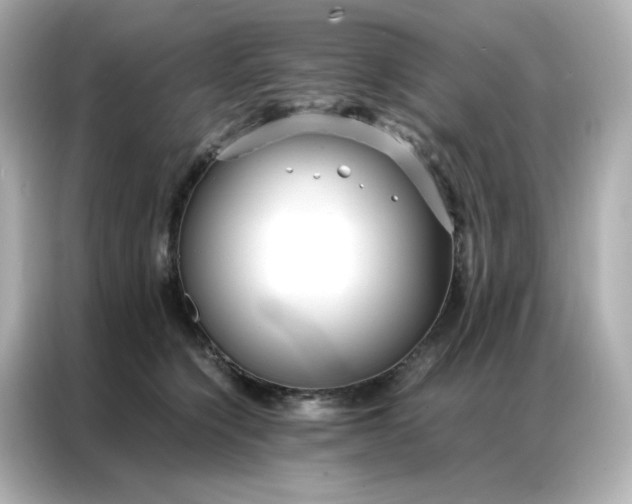 X0000086920564200704301059