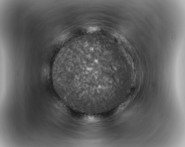 X0000086920565200704301059