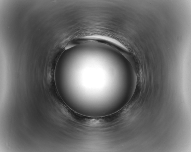 X0000086920566200704301059