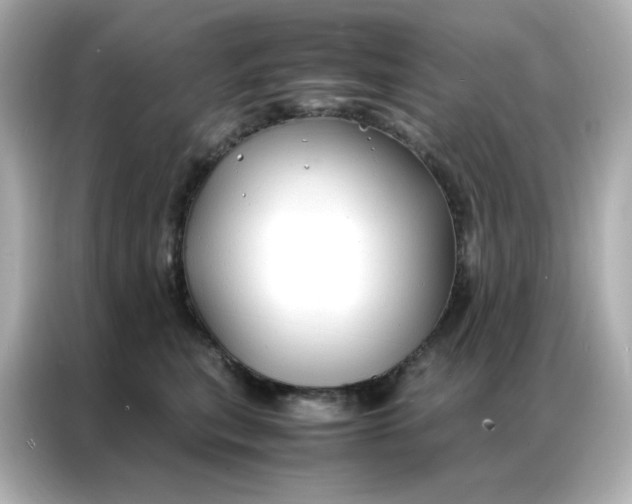 X0000086920567200704301059