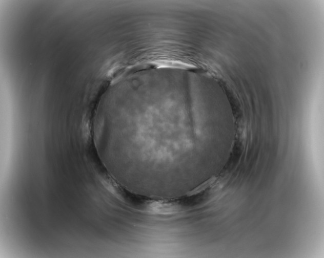X0000086920568200704301059