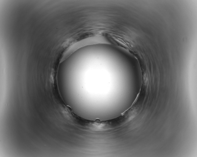 X0000086920570200704301059
