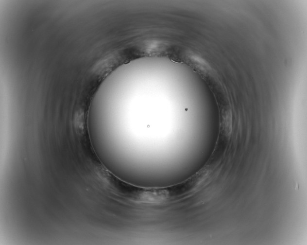 X0000086920571200704301059
