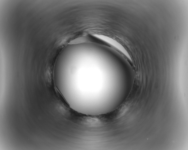 X0000086920572200704301059