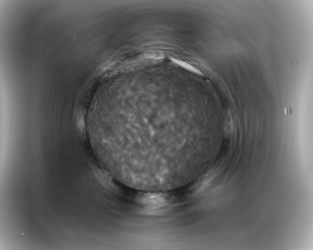 X0000086920573200704301059