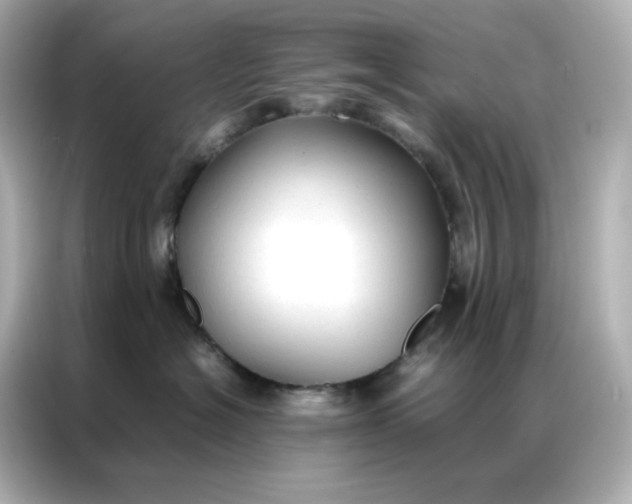 X0000086920574200704301059