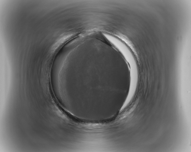 X0000086920577200704301059