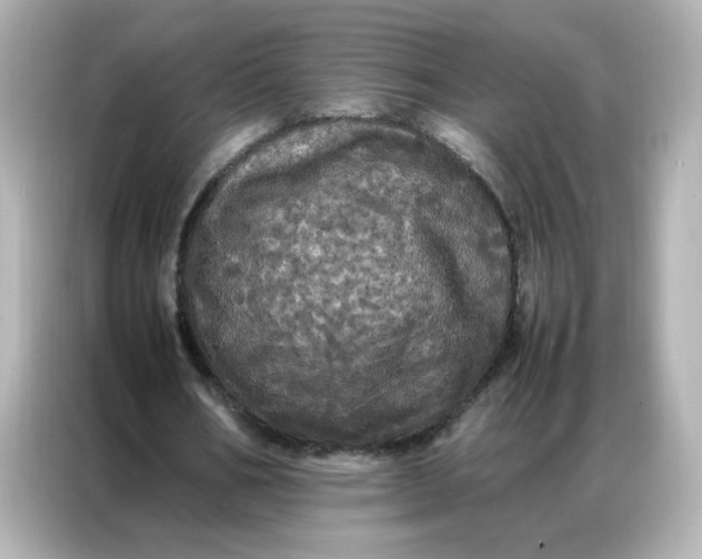 X0000086920578200704301059