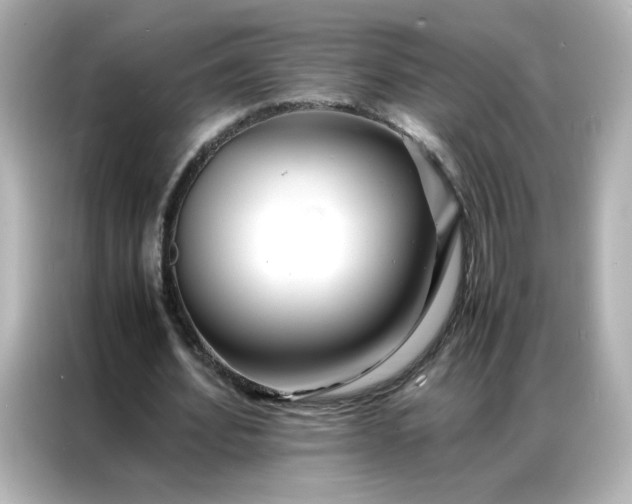 X0000086920580200704301059