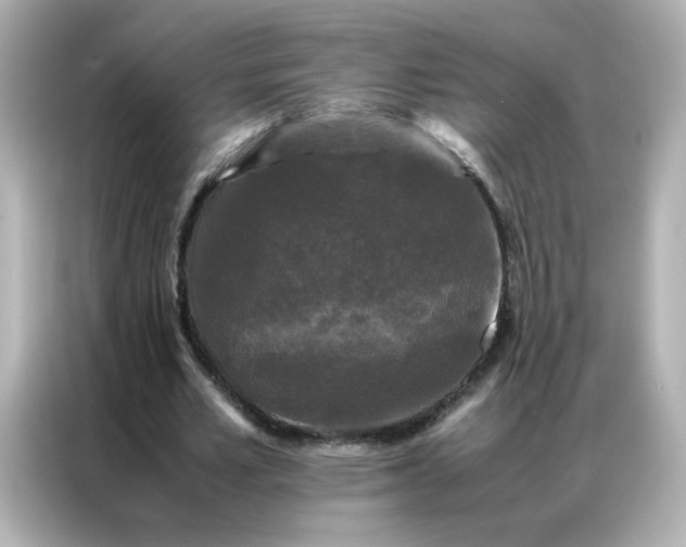 X0000086920581200704301059