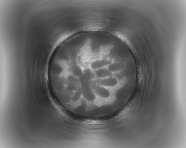 X0000086920582200704301059