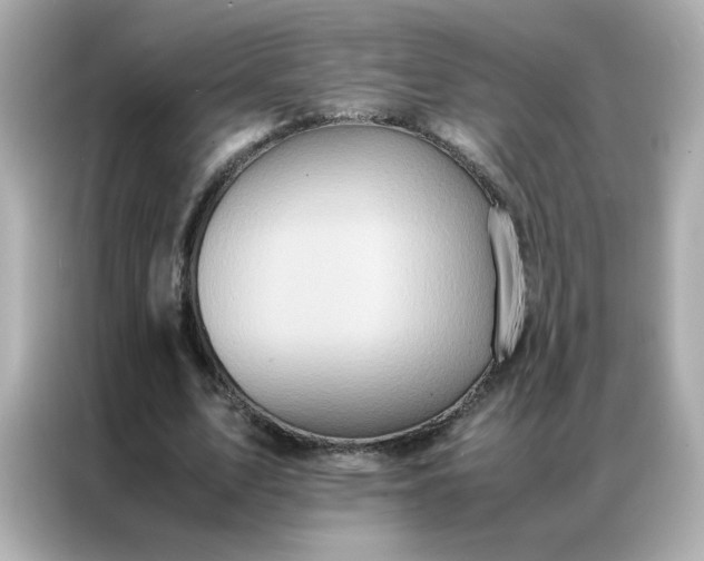X0000086920583200704301059