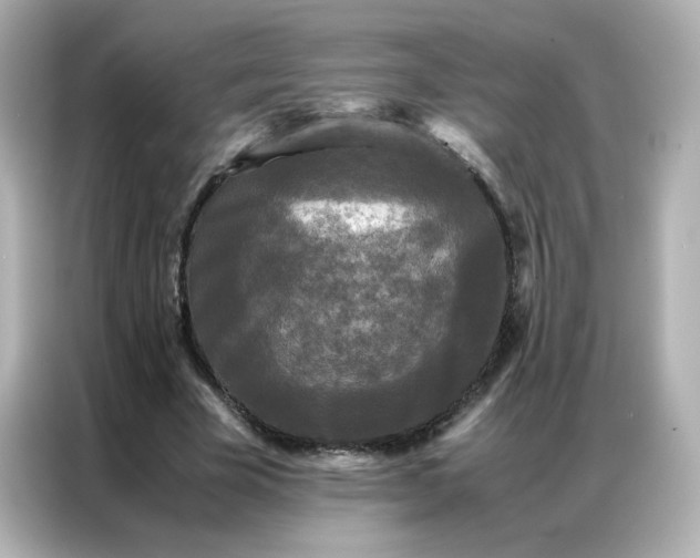 X0000086920585200704301059