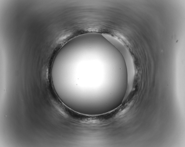 X0000086920589200704301059