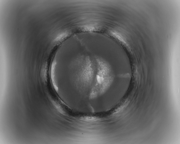 X0000086920590200704301059