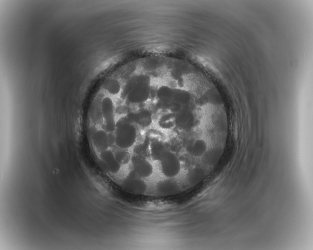 X0000086920591200704301059