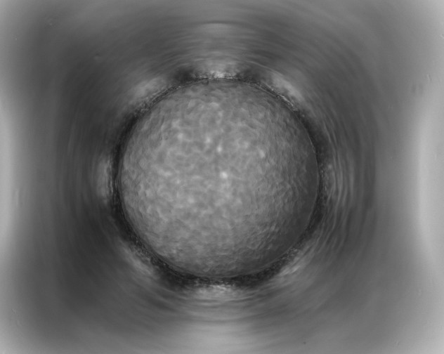 X0000086920594200704301059